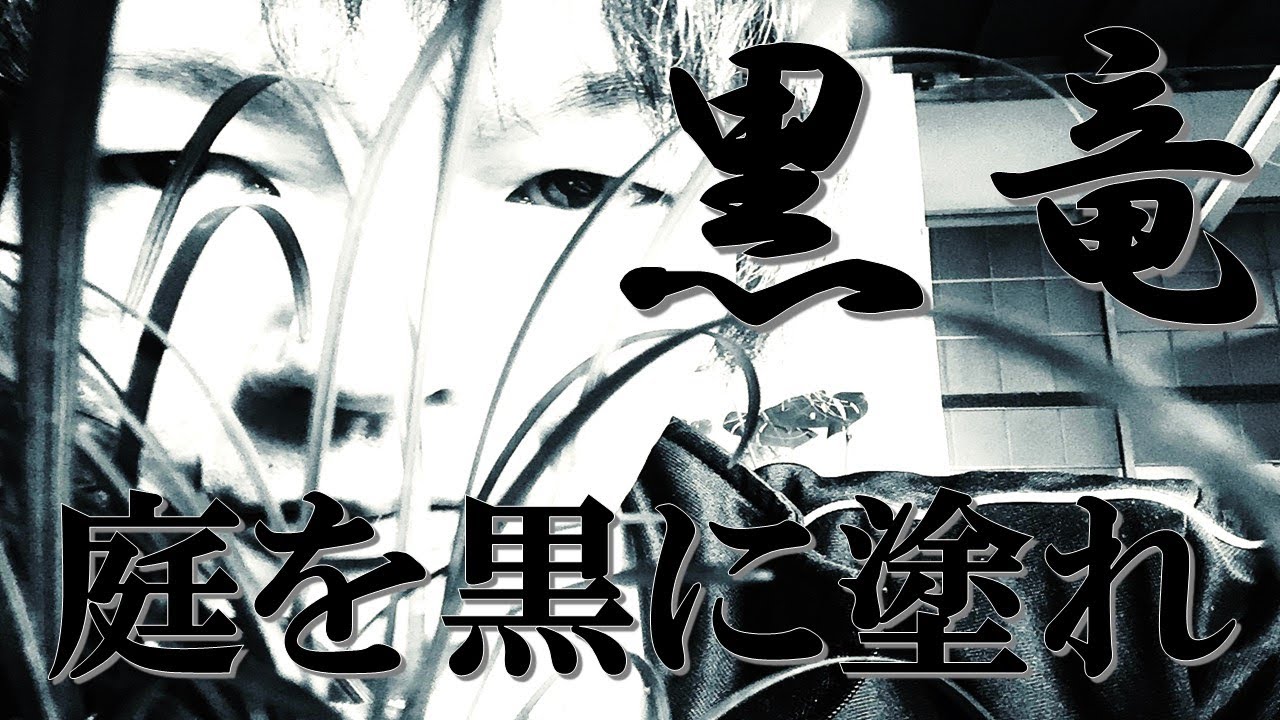 遅ればせながらコクリュウ植えました。 黒竜 グランドカバー 庭 2022年6月