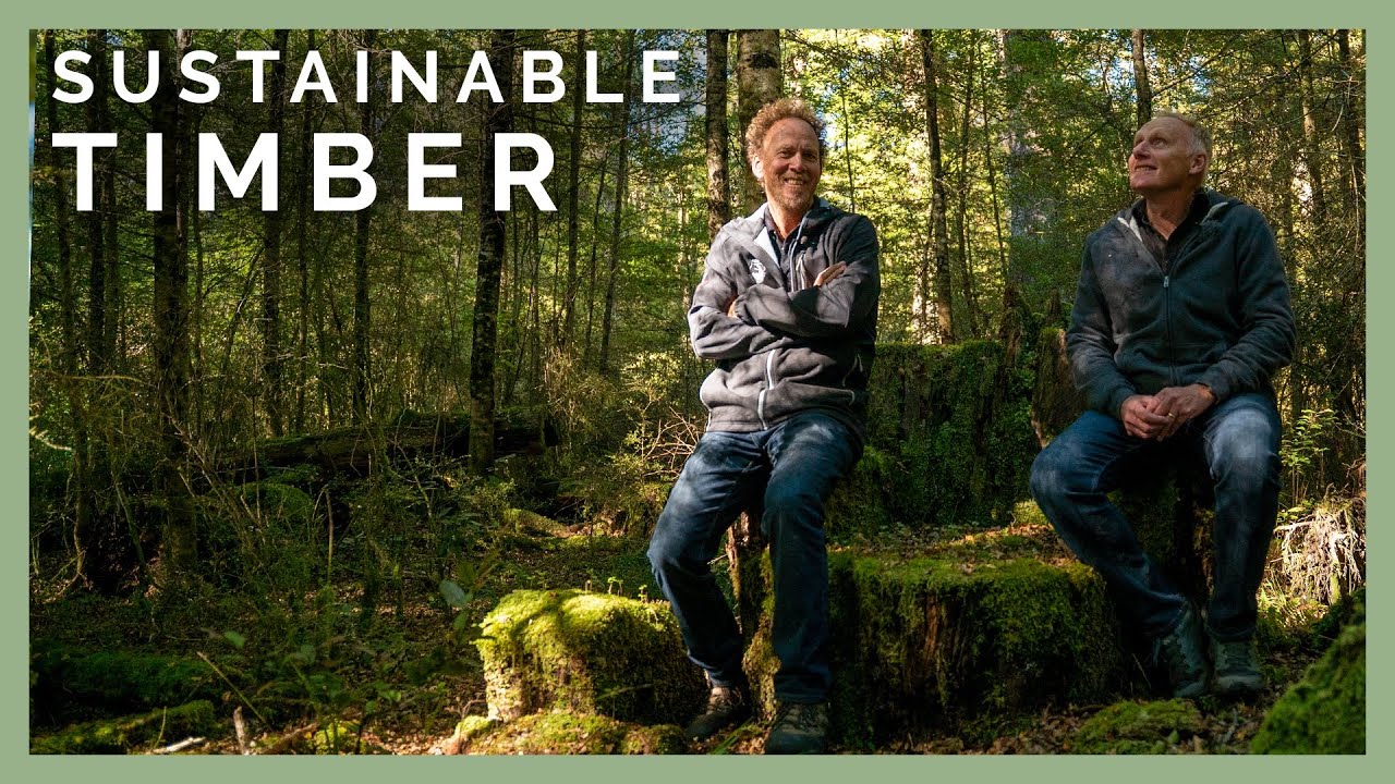 Sustainable Harvest from Permanent Forests? | Foreverbeech™ + Health Based Building | Ep 20