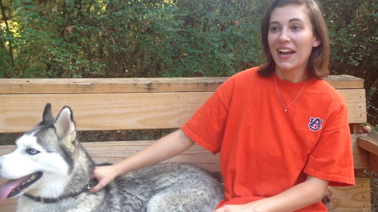 Find an escape for you and your dog at Kiesel Park in Auburn