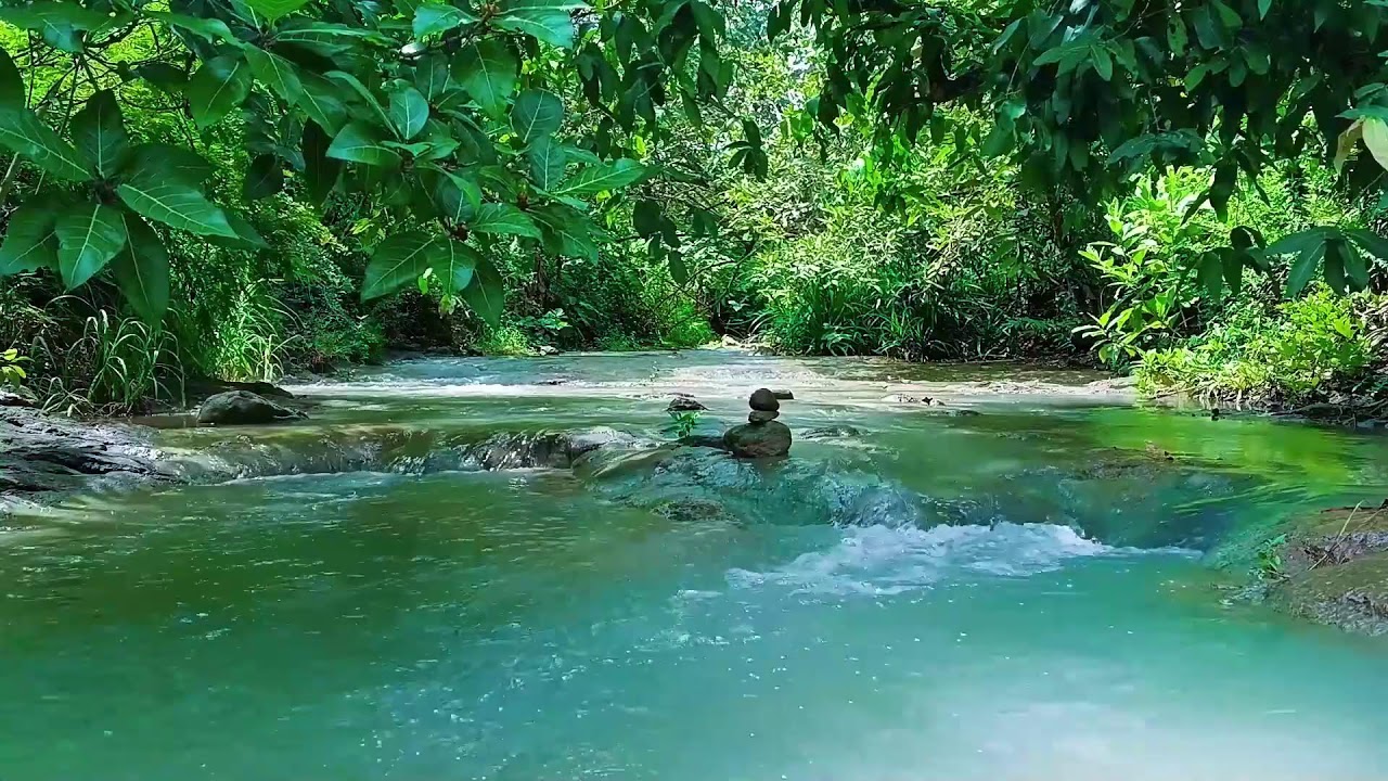 Calming River Sounds for Sleep, Study & Relaxation | ASMR Nature Ambience 🌿💧
