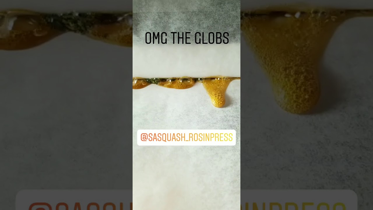 The Smoke Session(rosin globs)