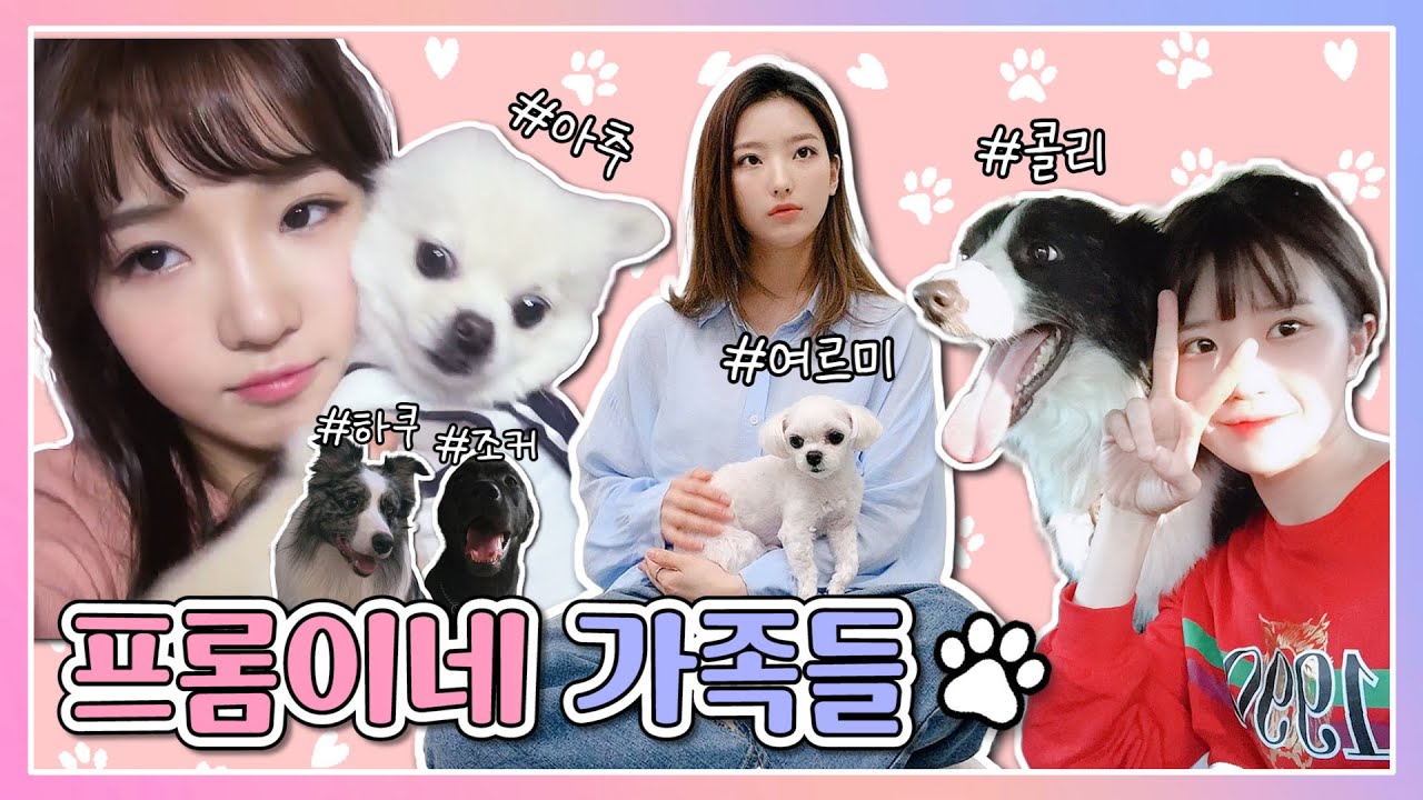 프롬이네 가족들 (반려동물들 모음) (ENG SUB) [프로미스나인]