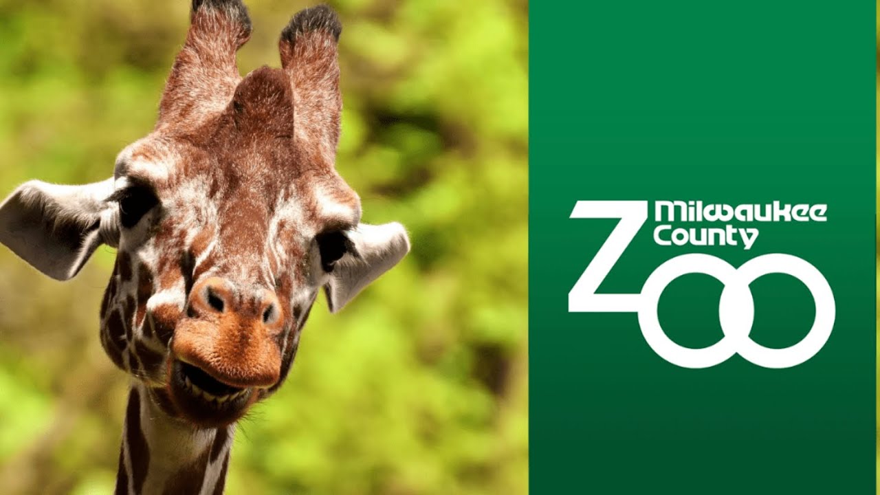 Milwaukee County Zoo Tour - Food Options / Restaurants - Zoo Places to Eat - Zoo Food Menus & Prices