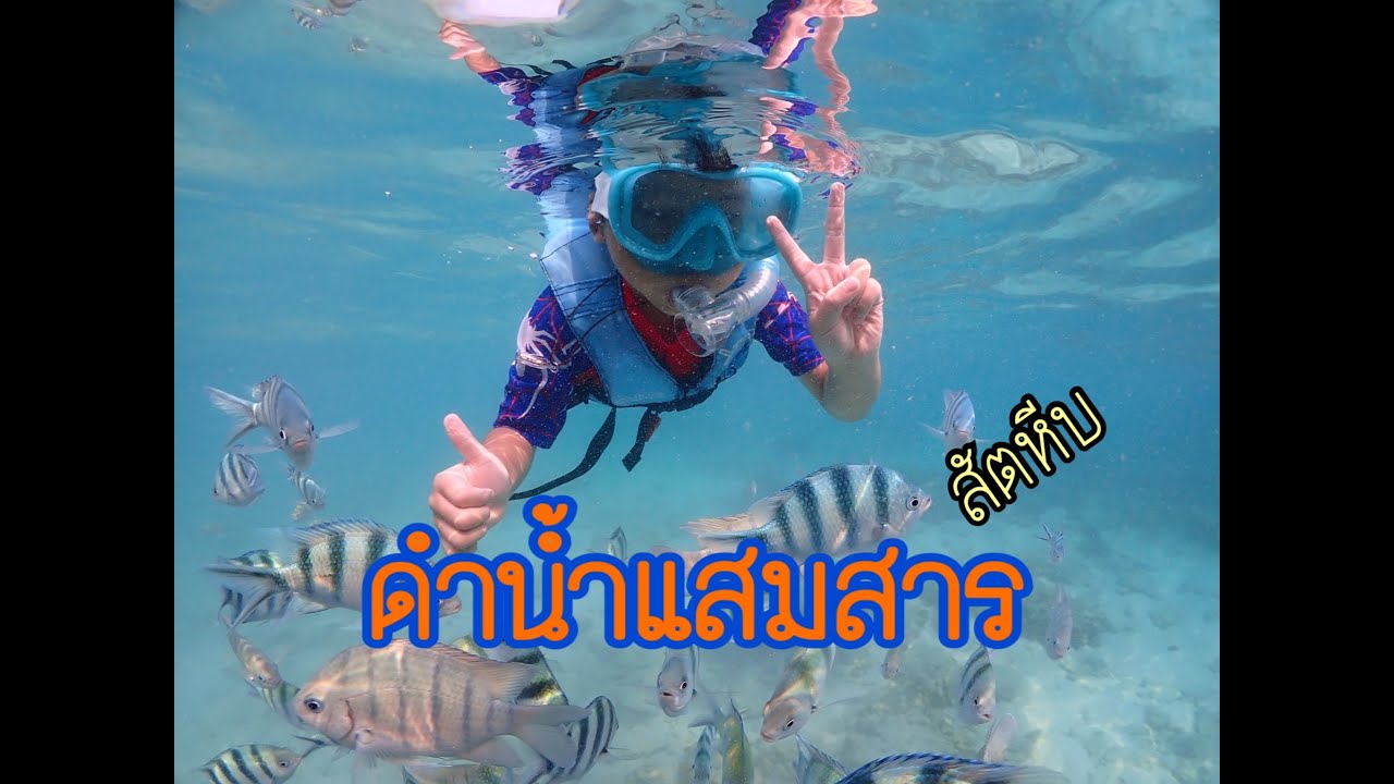 ดำน้ำแสมสารกับกัปตันหนุ่ย