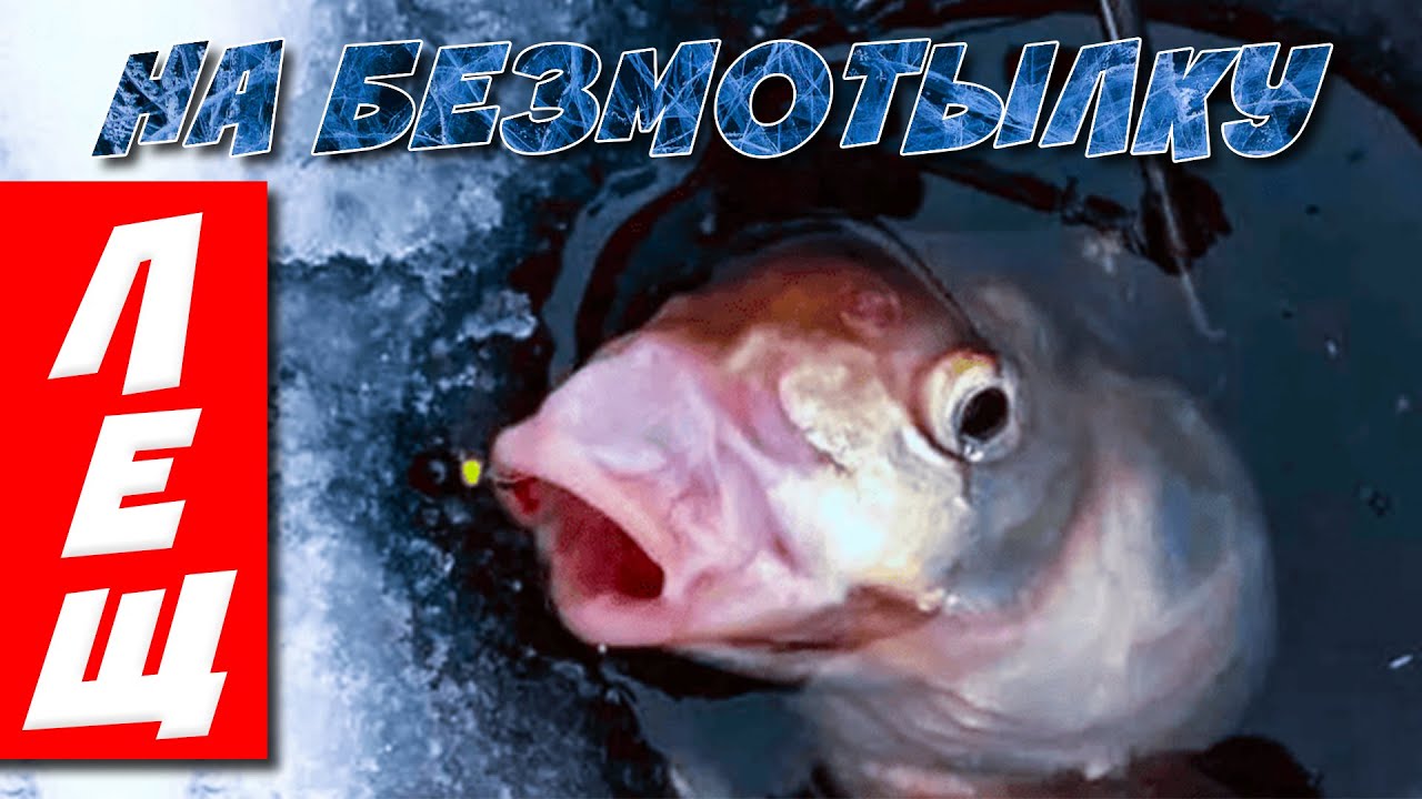 БЕЗМОТЫЛКА для Начинающих! ТОП 5 проводок на безмотылки.