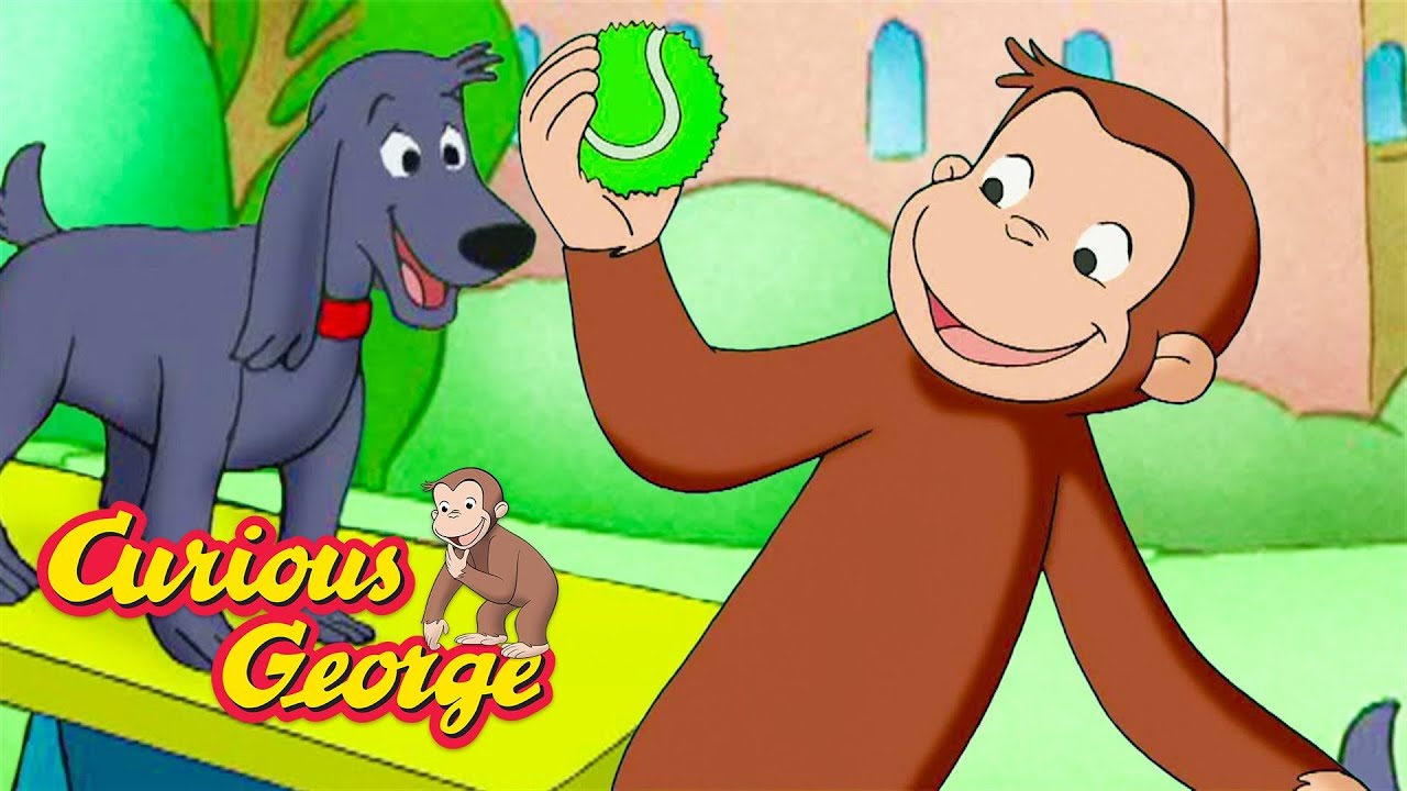 Whose a Good Doggie? 🐵 Curious George 🐵 Kids Cartoon 🐵 Kids Movies