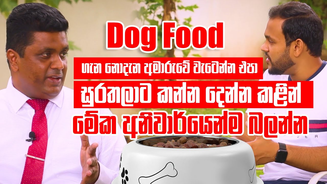 Dog Food ගැන නොදැන අමාරුවේ වැටෙන්න එපා | Pet Talk (Sponsored)