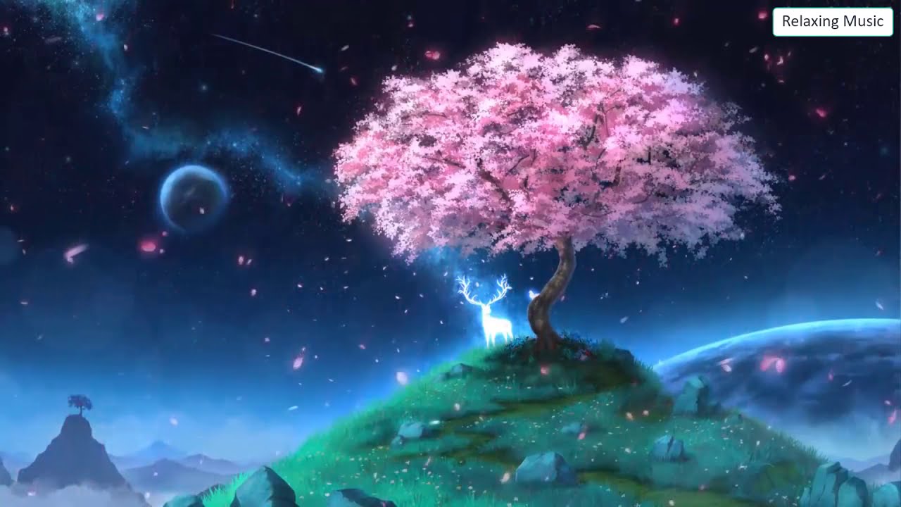 COMO SER FELIZ COM A BELEZA DA NATUREZA- FIM DO DIA MUSICA RELAXANTE