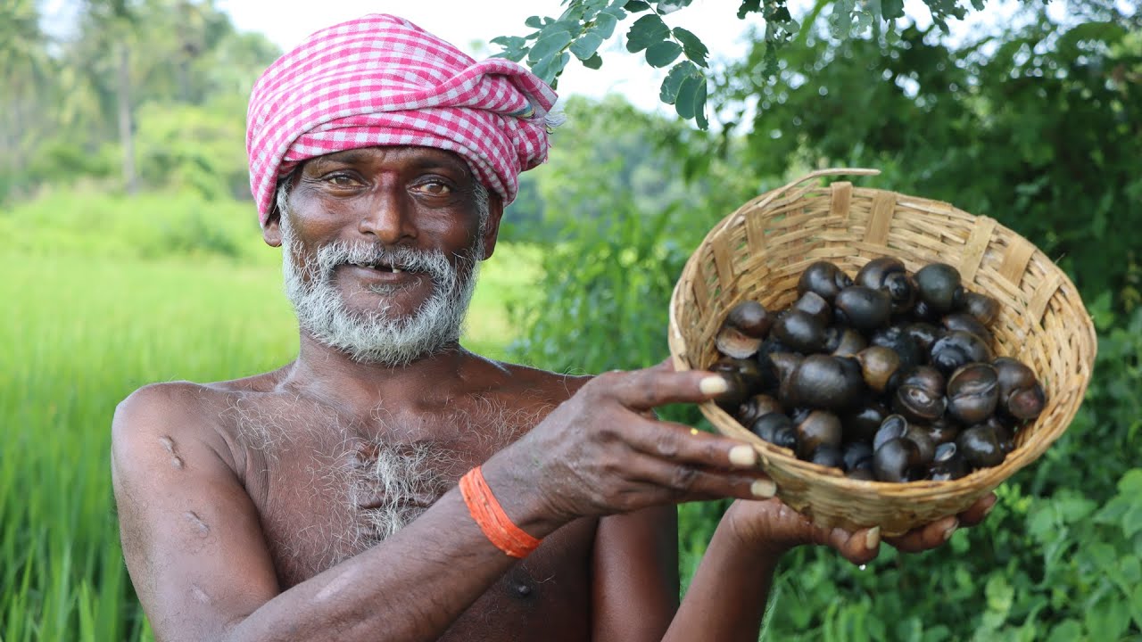 జన్మలో మర్చిపోలేని నత్తల కూర || Healthy Snail Recipe || Cooking South Indian Snails in Village