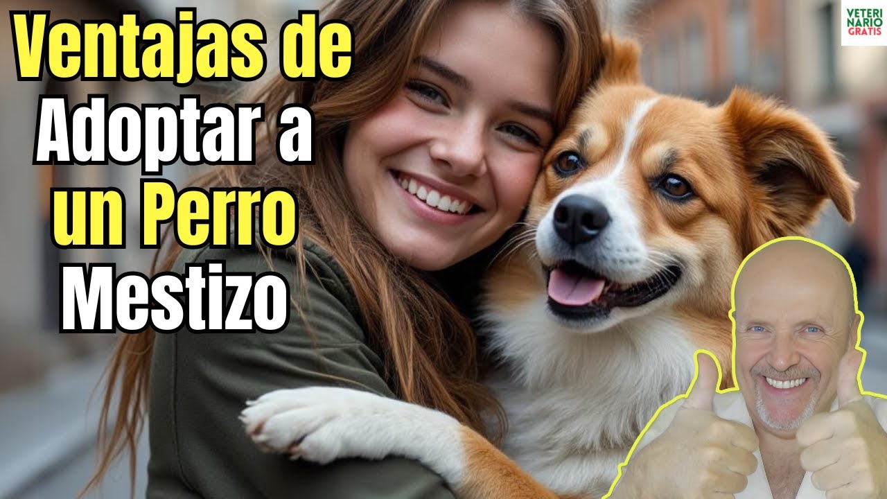 🥰 VENTAJAS DE ADOPTAR A UN PERRO MESTIZO QUE POCOS CONOCEN 🥰