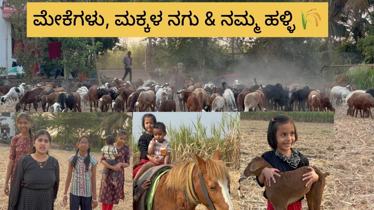 ಮೇಕೆಗಳು & ನಗುಗಳೊಂದಿಗೆ ಹಳ್ಳಿ ಜೀವನ ❤️ | Village Life Family Vlog
