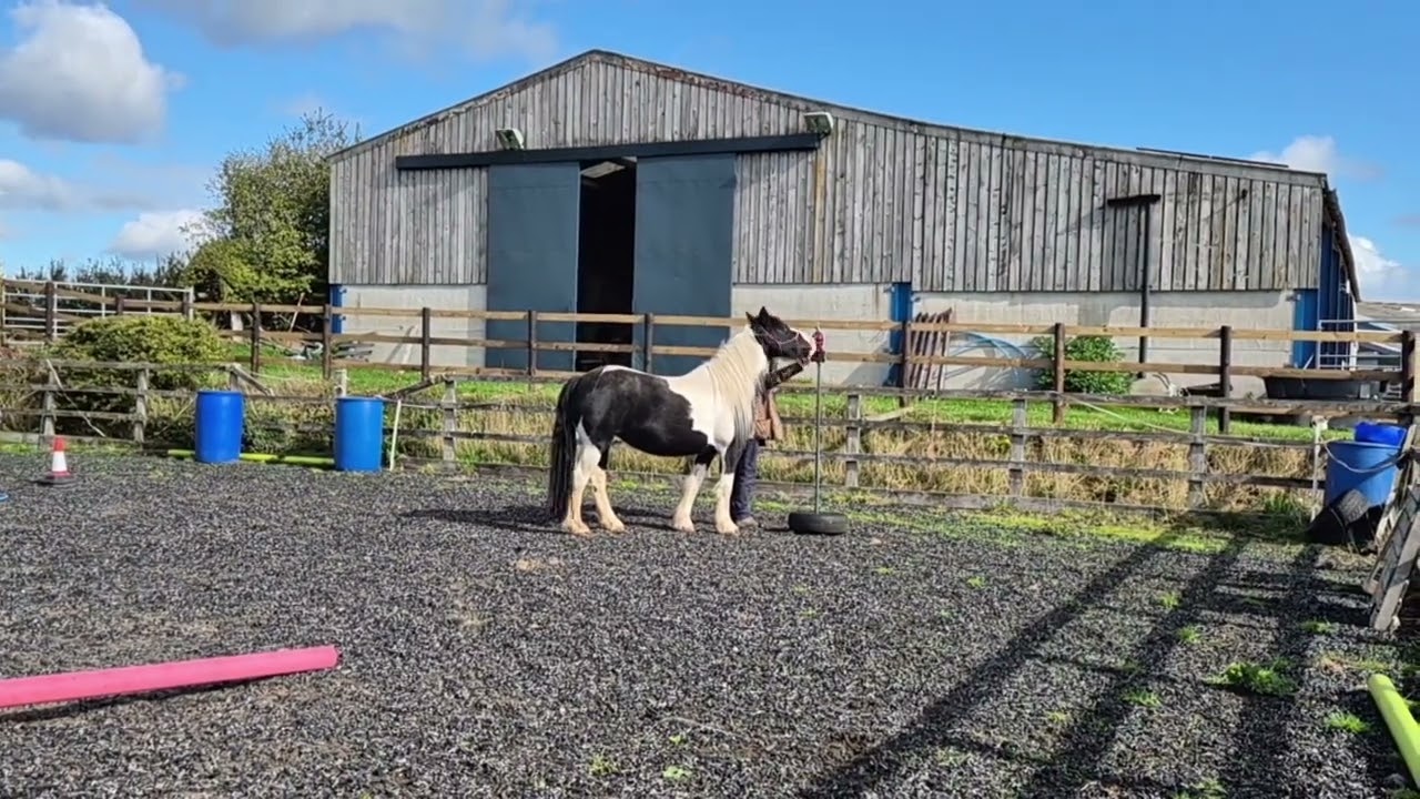 Debra Jacques & Ruby Bronze Liberty trophy September 2025