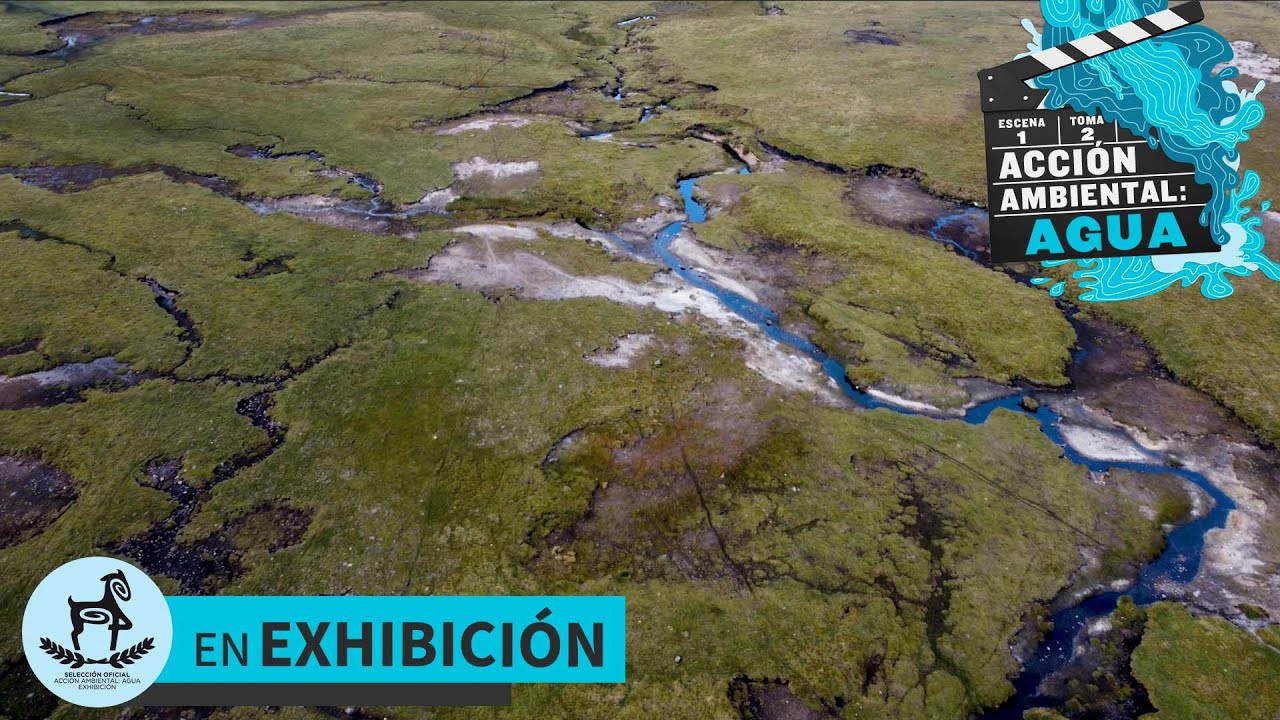Xanthe Dehe (Bosque de agua) #AcciónAmbiental