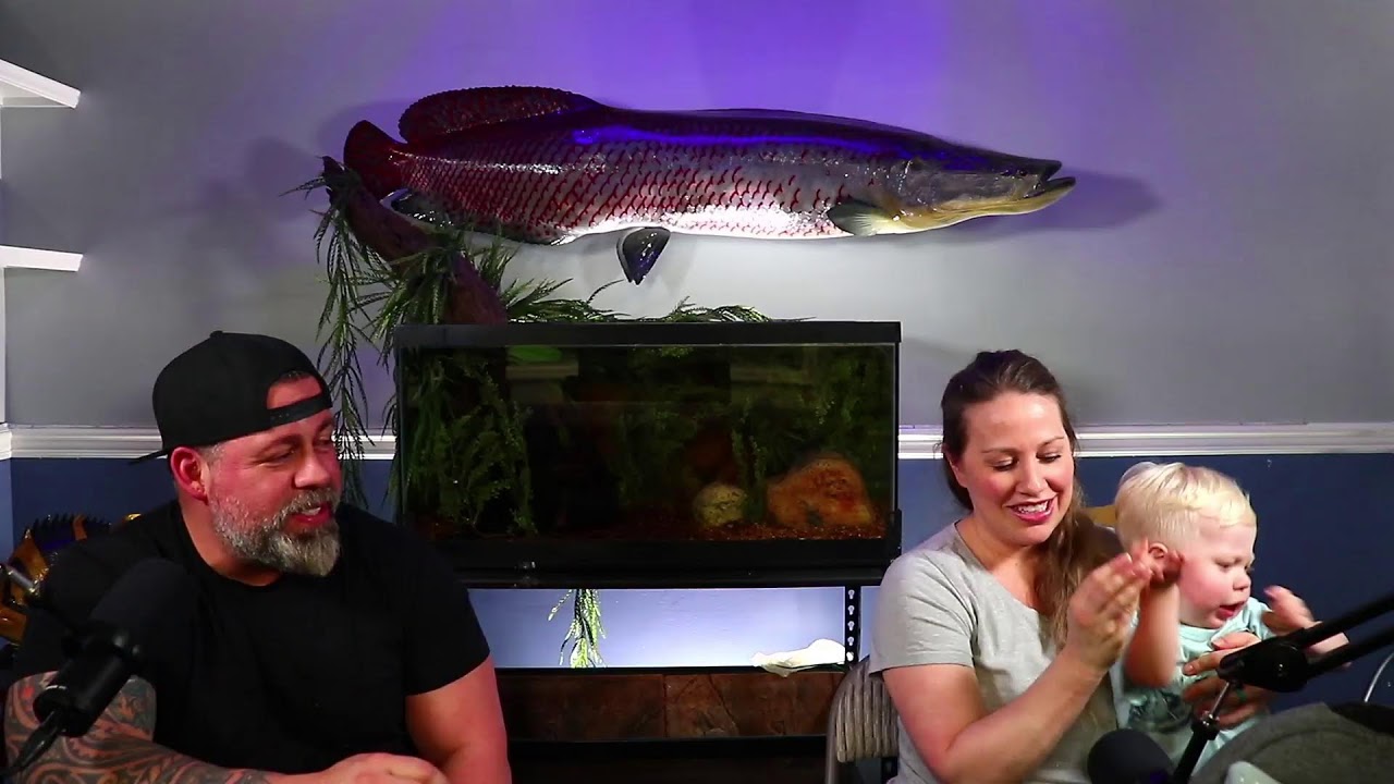 MONSTER FISH TALK With Predatory Fins & Stingray Biology