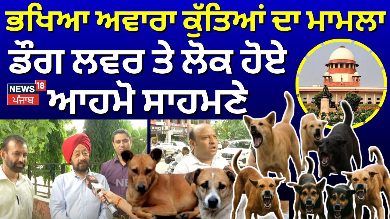 Stray Dog Issue|ਭਖਿਆ ਅਵਾਰਾ ਕੁੱਤਿਆਂ ਦਾ ਮਾਮਲਾ,ਡੌਗ ਲਵਰ ਤੇ ਲੋਕ ਹੋਏ ਆਹਮੋ ਸਾਹਮਣੇ, ਸੁਣਾਈਆਂ ਖਰੀਆਂ-ਖਰੀਆਂ|N18V