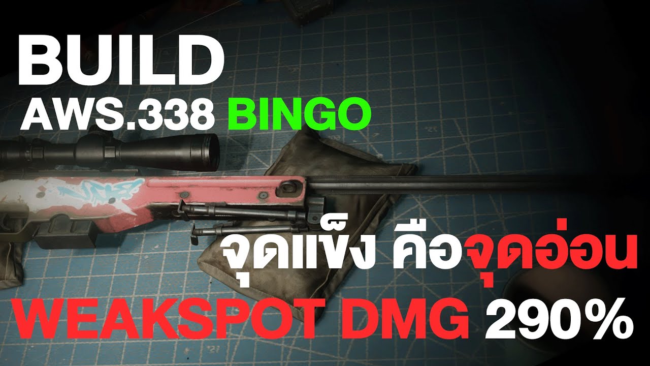 Once Human Build AWS 338 Bingo จุดแข็ง คือจุดอ่อน