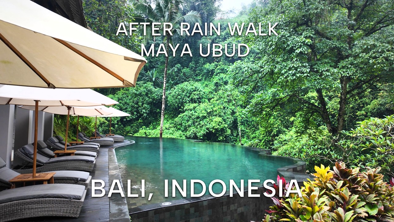 Bali After Rain – Walking Maya Ubud // Natural Sounds Only ( Indonesia )