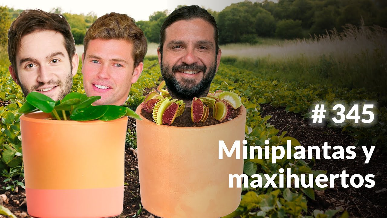 Miniplanta y Freshis: reconectar con la naturaleza #Naci&oacute;nInnovaci&oacute;n345