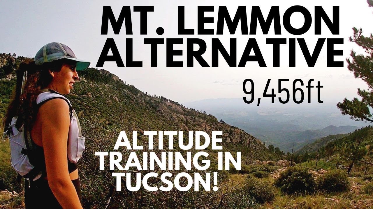 Mt. Wrightson Ascent In Madera Canyon, AZ | Running Update & Potential 2020 Race Schedule