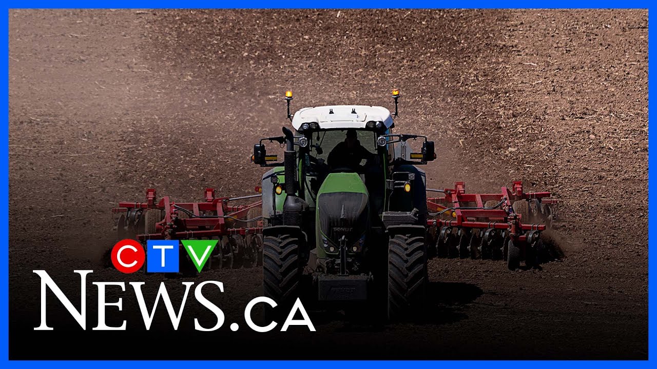 Record summer drought scorches Nova Scotia, fuels fires and crop losses