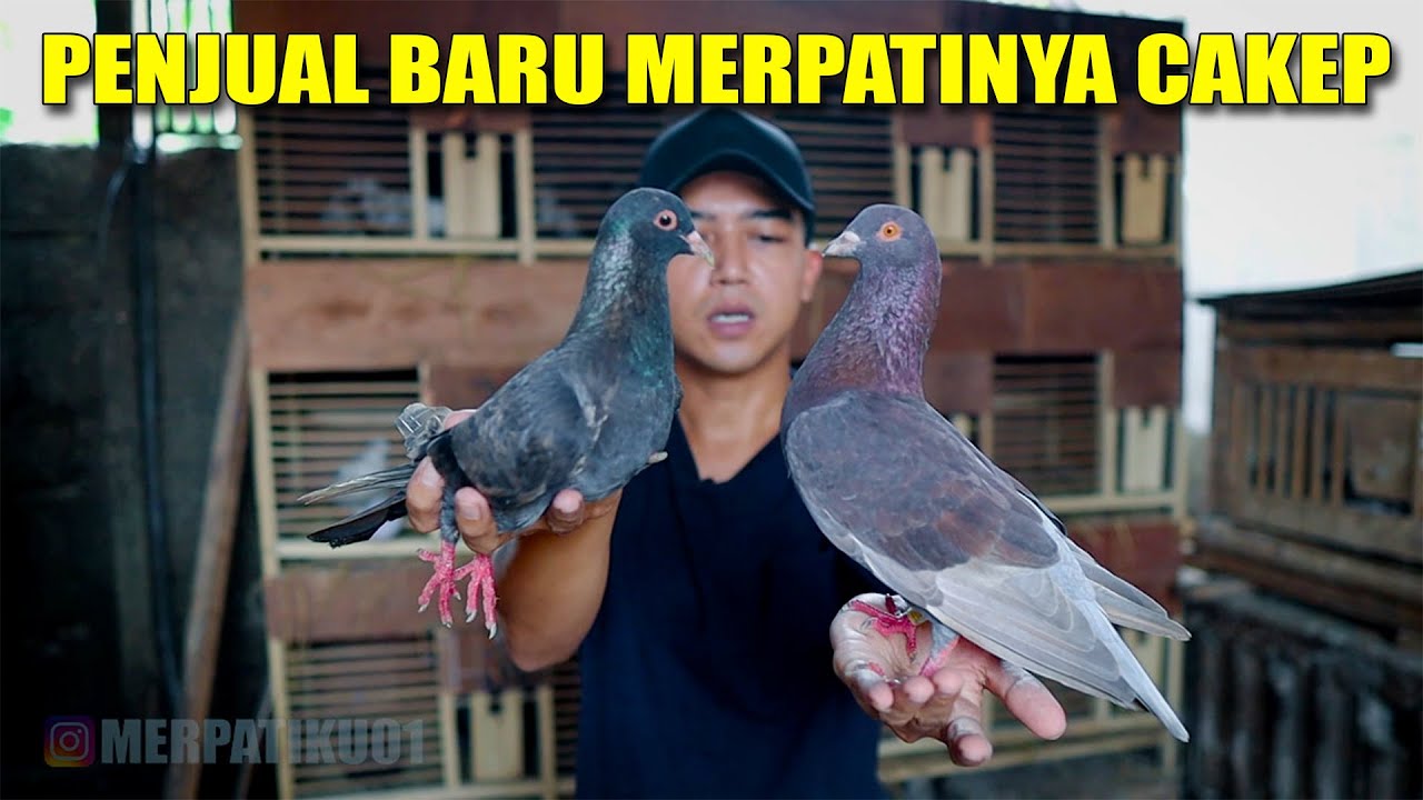 GREBEK! GAK PERLU LAMA LANSUNG SAT SET BAWA PULANG