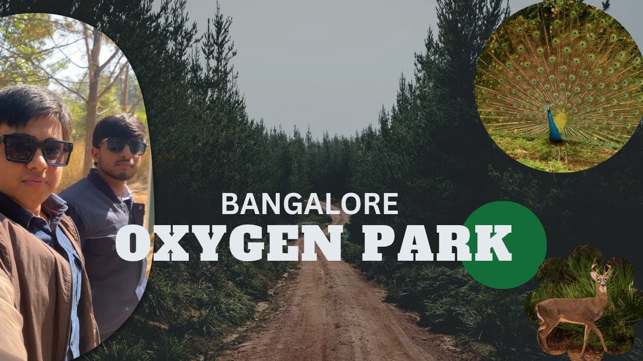 Best park or forest to visit in Bangalore Oxygen Park In Bangalore / Avalahalli Forest in Bangalore 