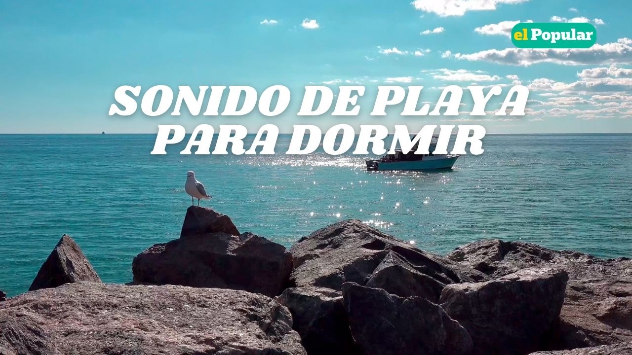 ASMR | SONIDO de Playa 🌊 Olas del Mar para Dormir Profundamente (8 Horas)