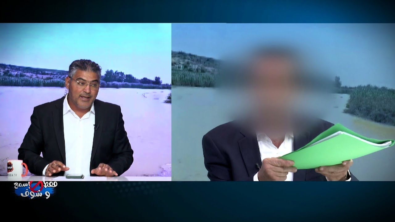 سري وخطيير جدا..ذئب الملفات يخترق بنوك أوروبية ويكشف كل السرقات التي اقترفها كبار الوزراء والمسؤولين