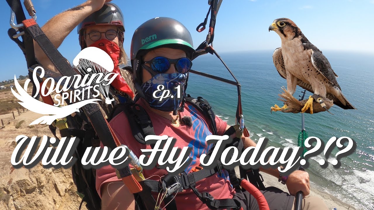 Will we Fly today?!? Let's meet some falcons! - Soaring Spirits Episode 1