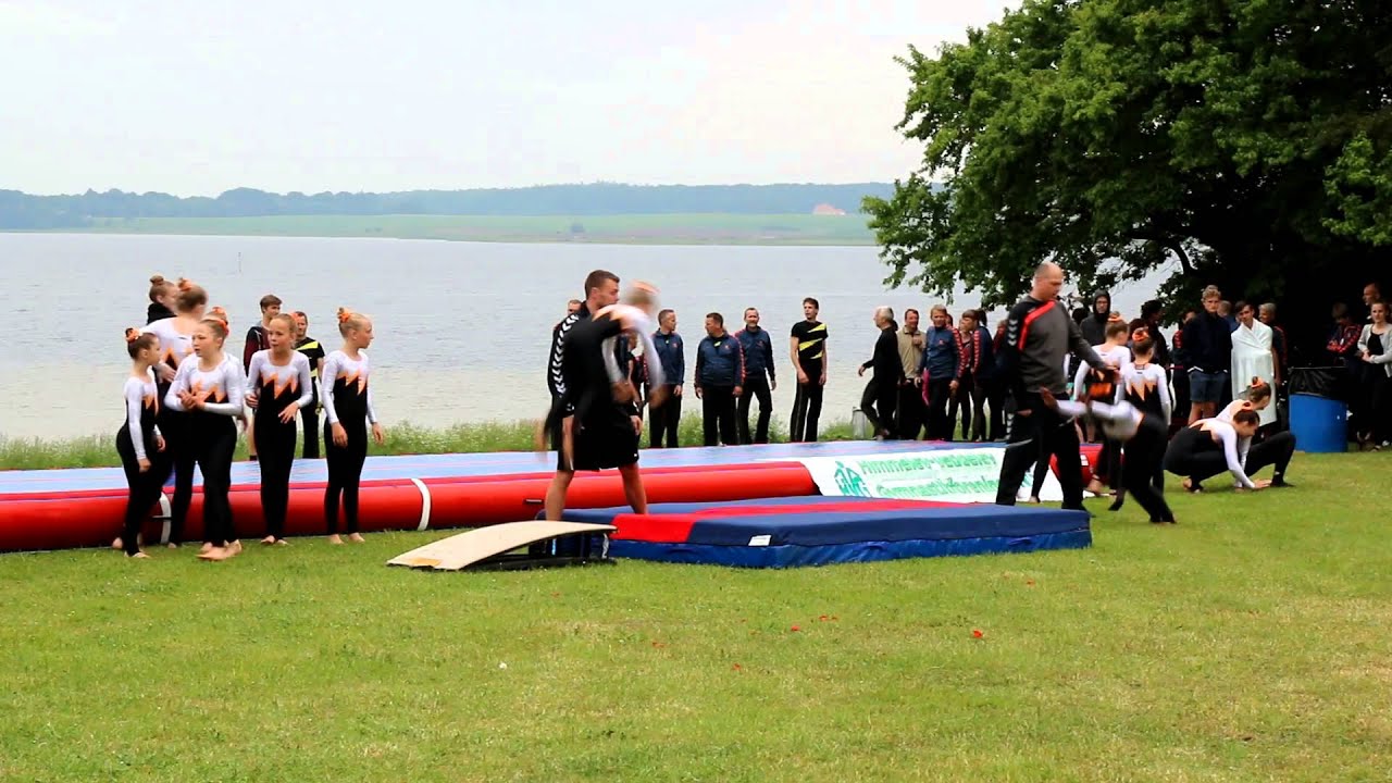 Vigen 2015 HVG Mini/Juniorpiger