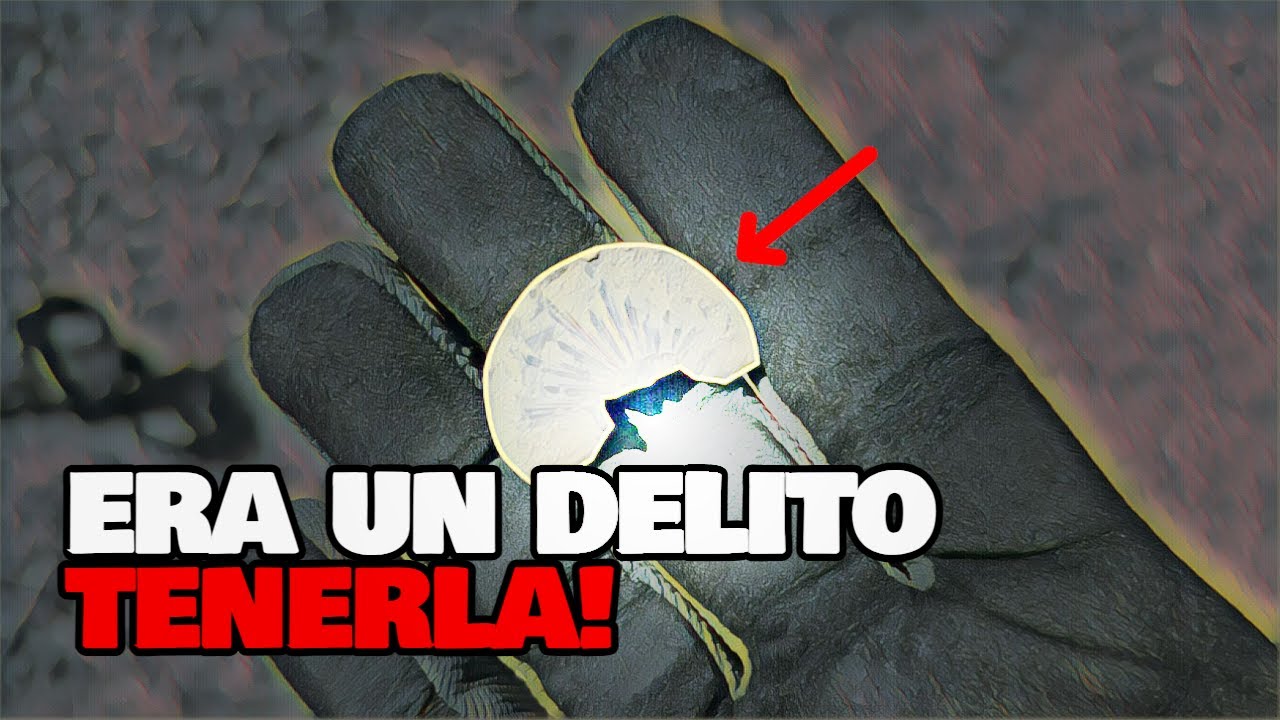 Encontré la Moneda PROHÍBIDA en un Antiguo Camino Real!