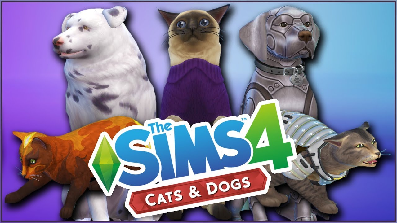 О, мои лапки!! Собаки на несколько дней!! Кошачьи свитера!! Огненные лисы?! 🐱🐶 Sims 4: Кошки и со...