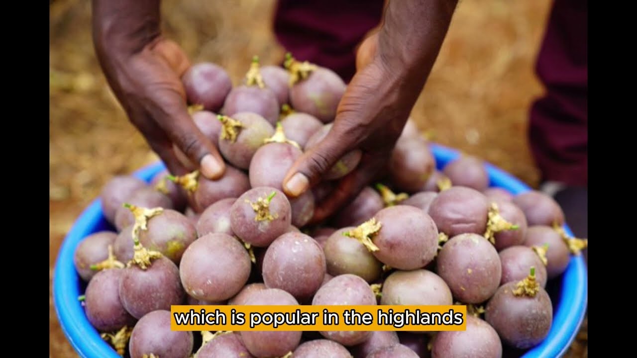 Passion Fruit Farming In Kenya: The Current State of the Industry