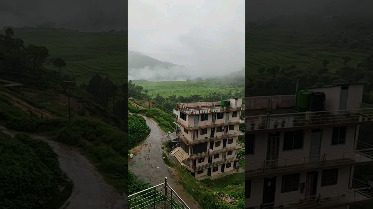 #beautiful