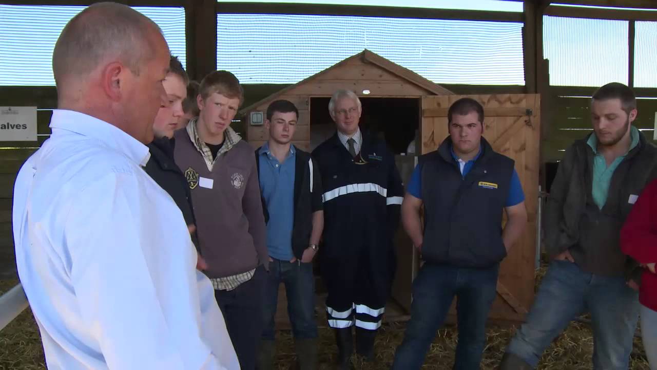 Cow Signals - Calf & Heifer Rearing, Simon Harper