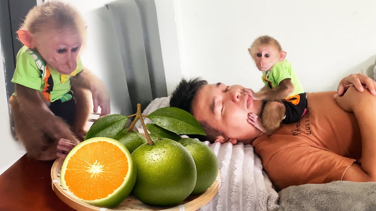 &ldquo;Jobi&rsquo;s Silent Affection for Dad Hung&rdquo;
