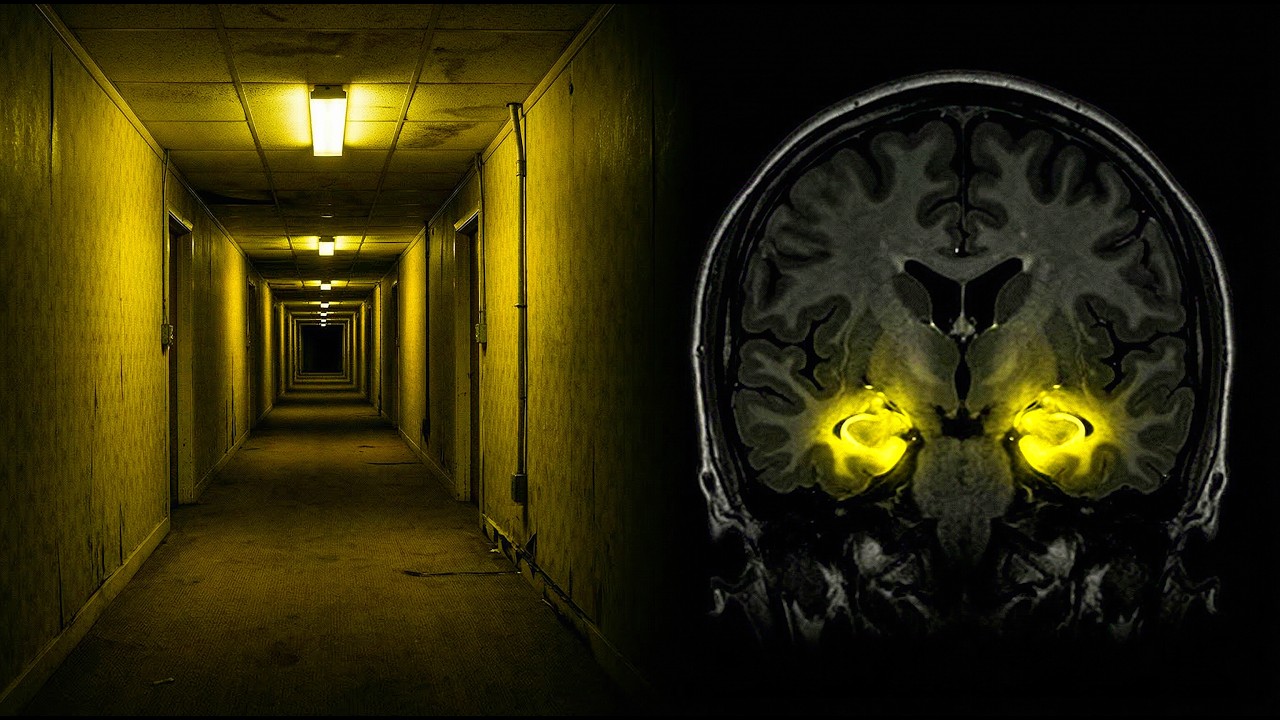 Why the backrooms Feel So Familiar | Scientists Finally Have an Answer