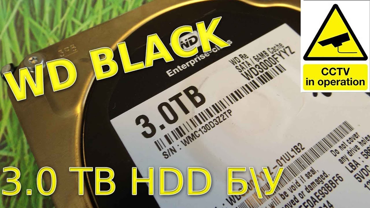 ВТОРИЧКА 8 // Western Digital Black 3TB жесткий диск за 50$ + СРАВНЕНИЕ с WD Blue и ТЕСТЫ Скорости