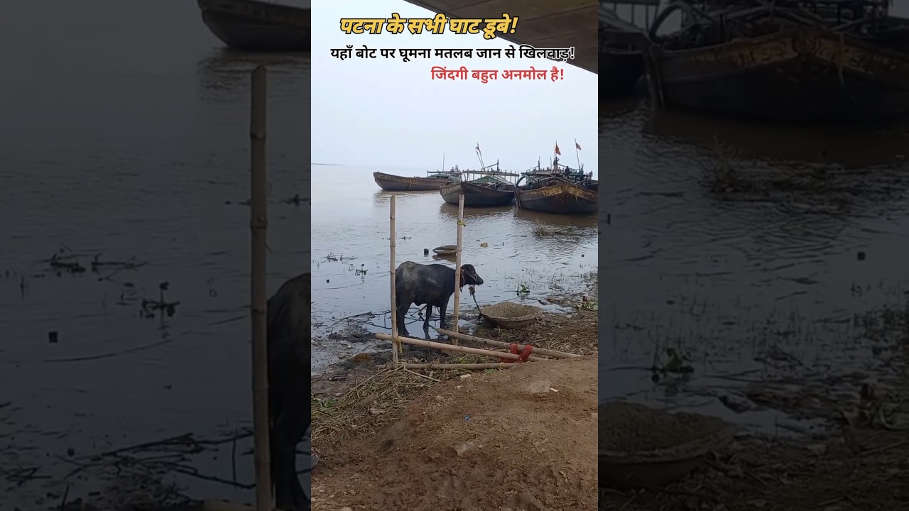 पटना के घाट डूबे इसलिए Boat पर घूमना मना है #Shorts