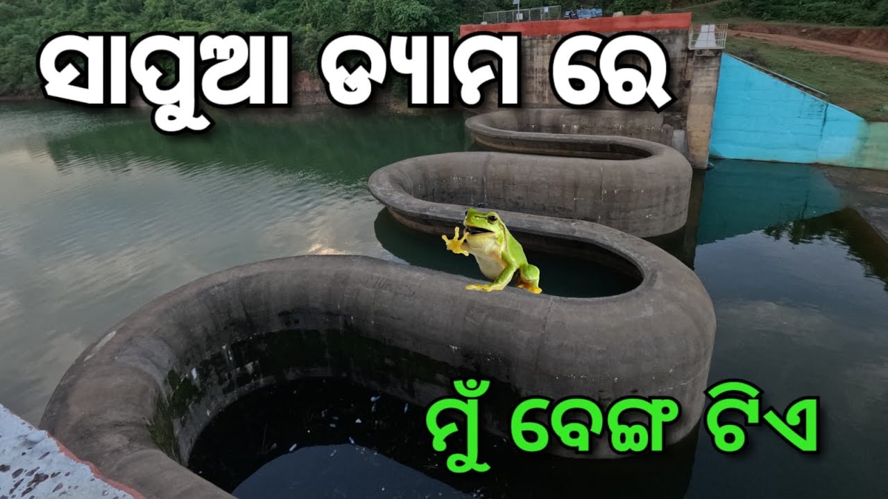 ସାପୁଆ ଡ୍ୟାମ ଢେଙ୍କାନାଳ || Sapua Dam Dhenkanal Odisha || Odia Vlog
