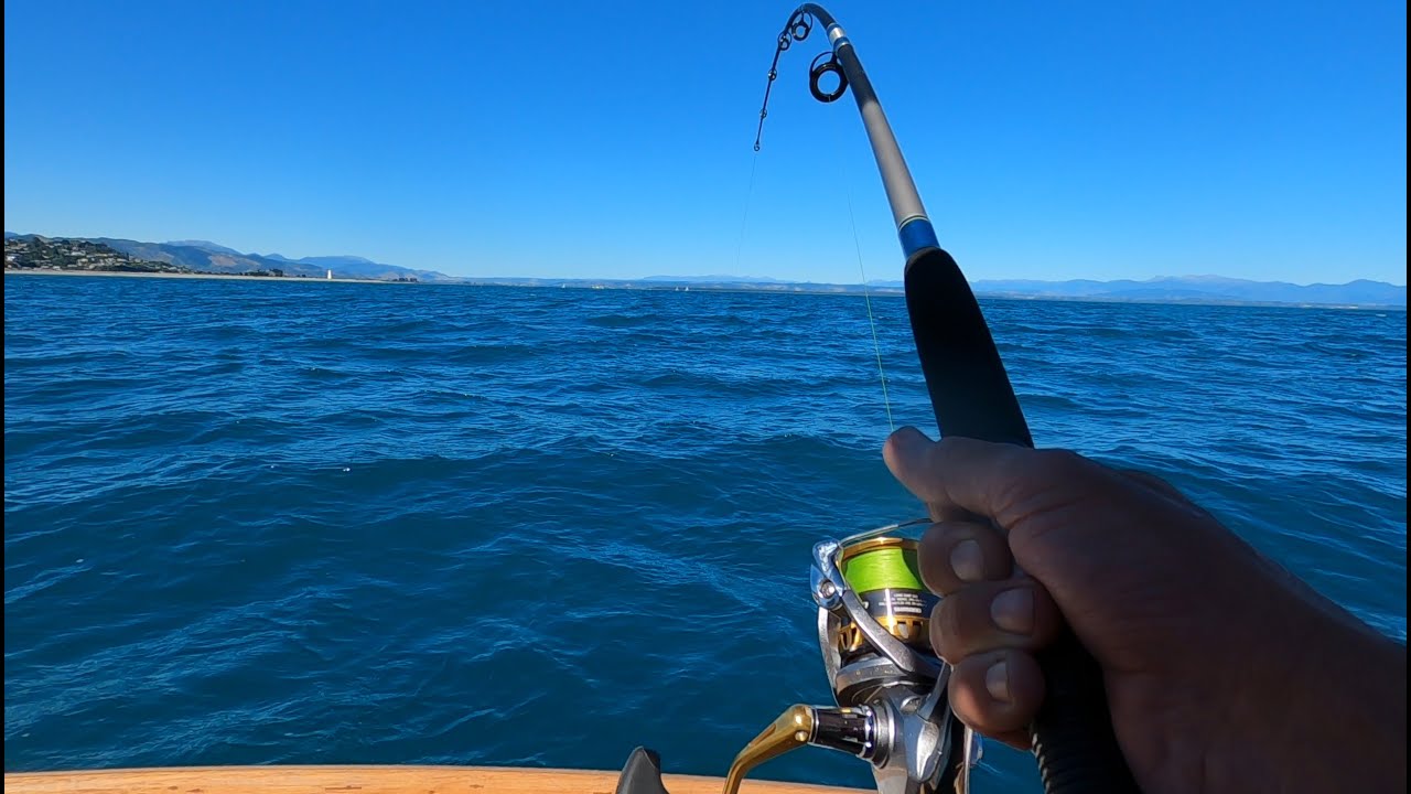 Fishing for Kingfish in Nelson New Zealand
