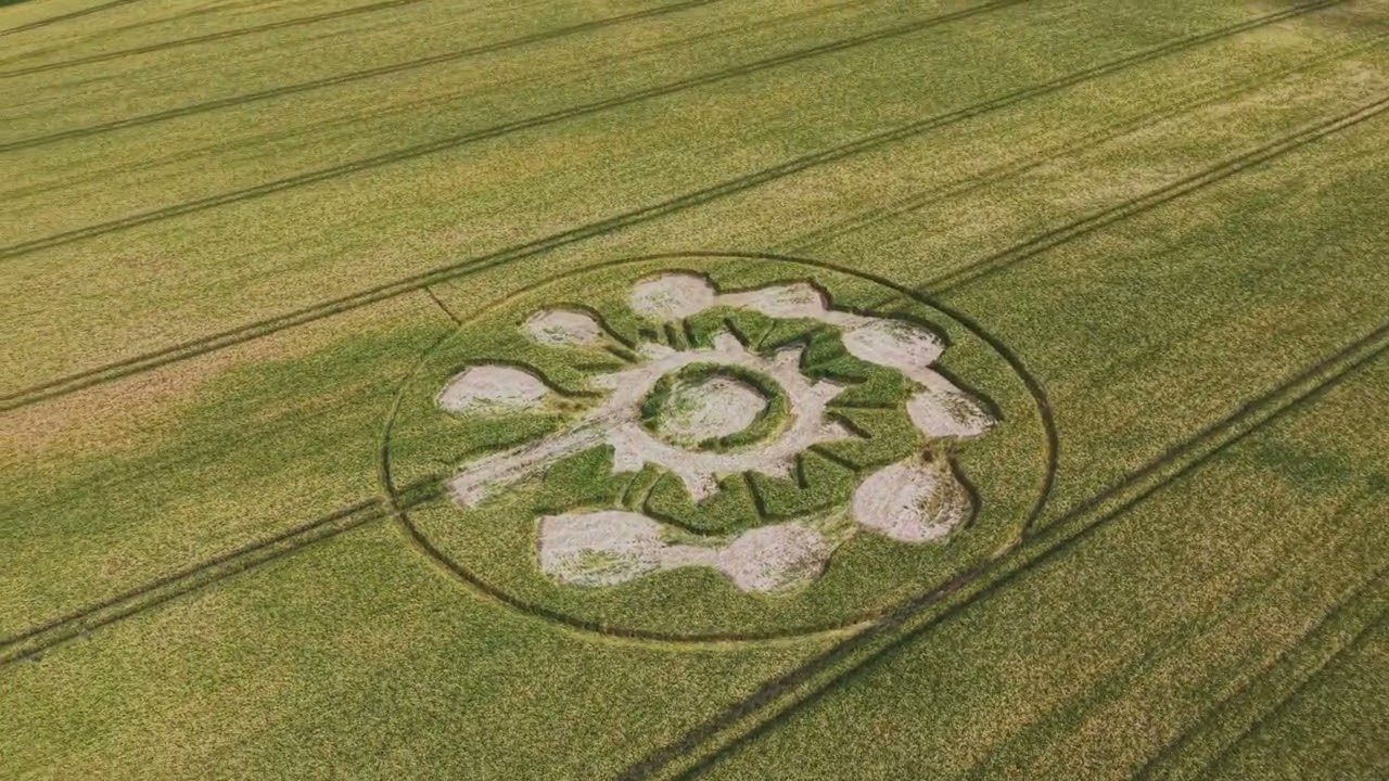 Crop circle flight Avebury, Wiltshire 2025