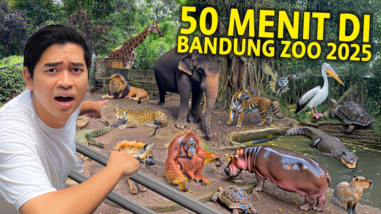 50 MENIT DI KEBUN BINATANG BANDUNG 2025! GAK NYANGKA SEKARANG UDAH SEBAGUS INI! BANDUNG ZOO!