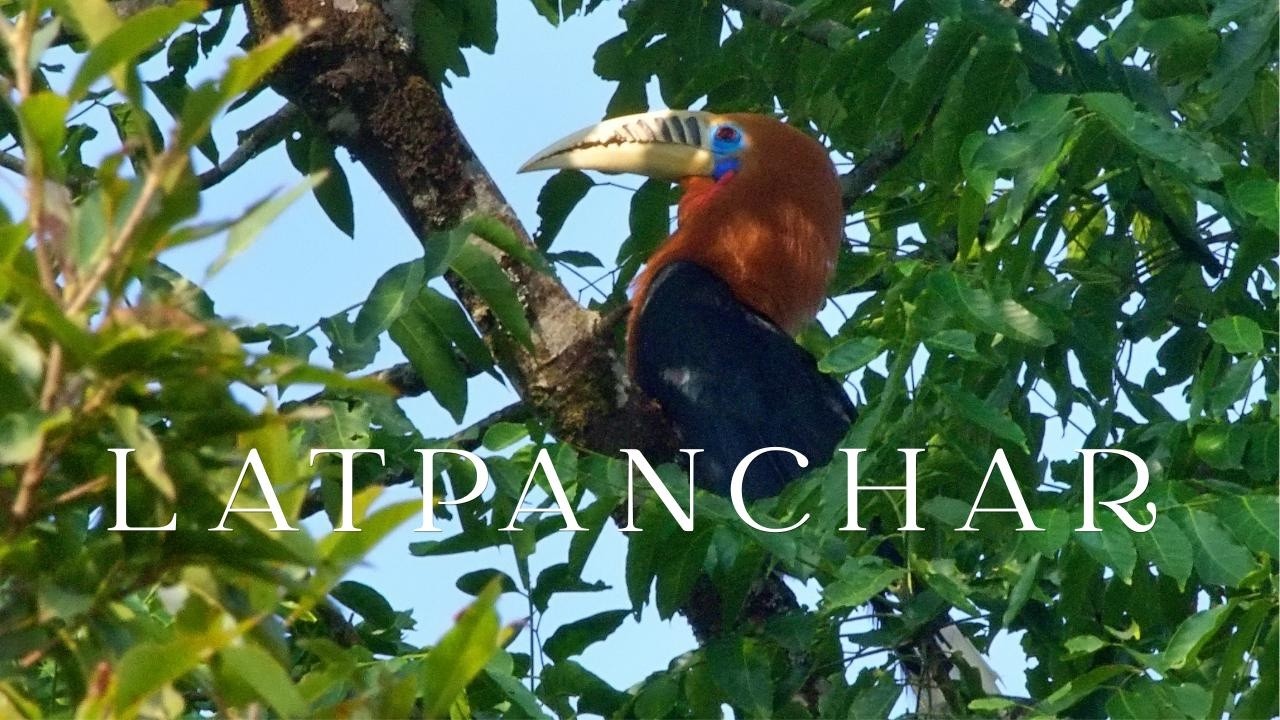 Latpanchar - A Birding Paradise