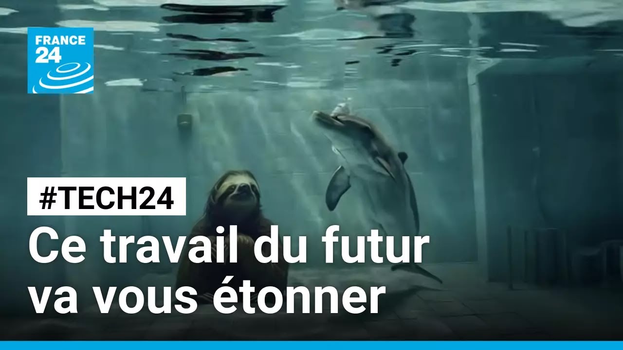 IA : ces métiers qui disparaissent, et ceux – surprenants – qui émergent • FRANCE 24