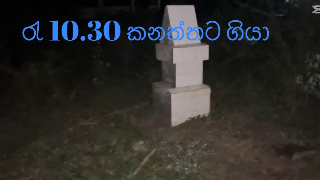 අපිට මොකද උනෙ කියල අන්තිම වෙනකන් බලන්න🥵😱#horror #threading #viral #babiya 