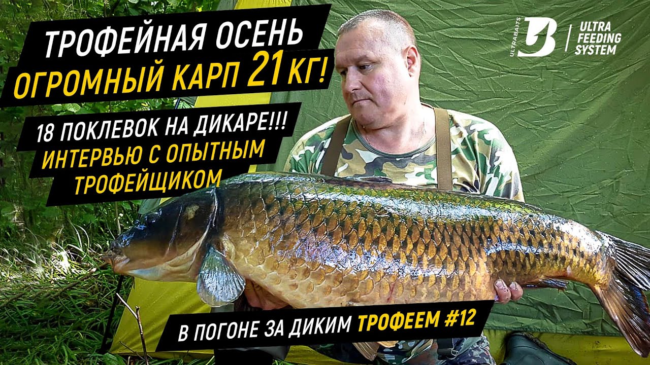 Огромный карп 21кг!!! 18 поклевок на дикаре!!! И снова интервью с опытным 