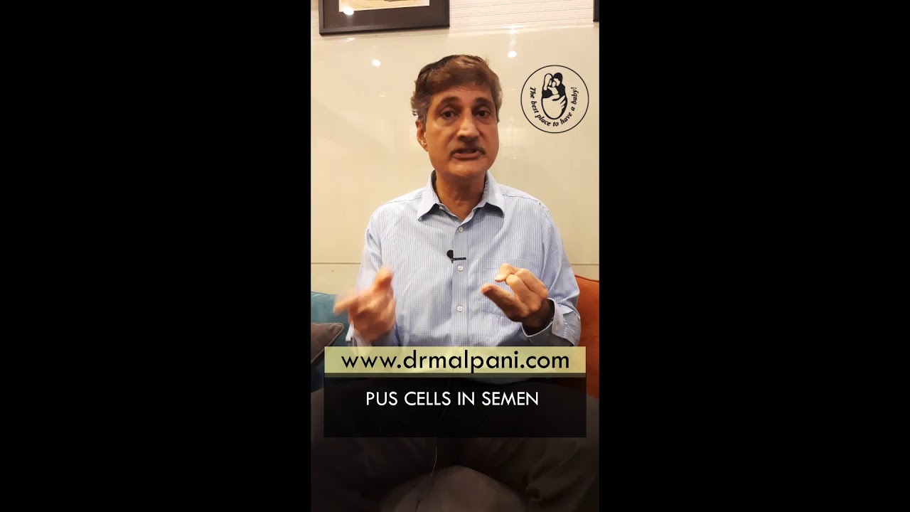 Male Infertility | Semen Analysis | What is Pus Cells in semen?