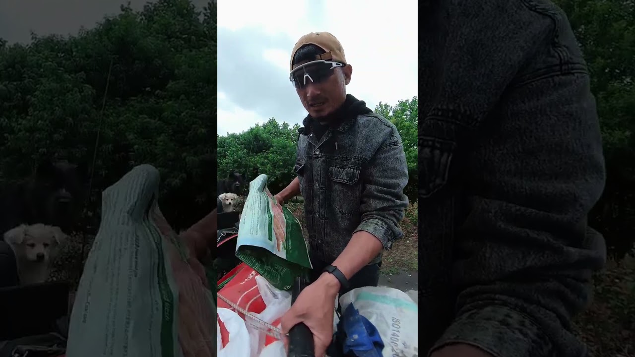 318路段偶遇流浪狗，以后就跟着我旅行吧？#骑行 #旅行 #318