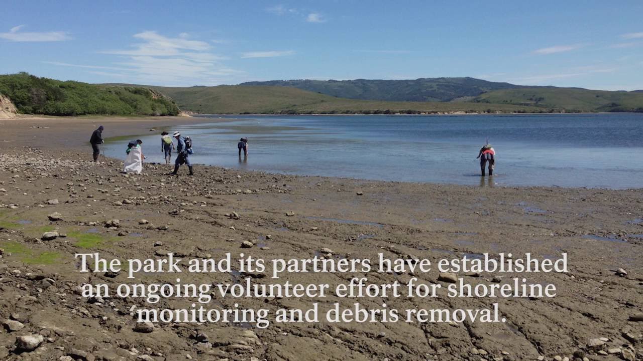 Restoring Drakes Estero